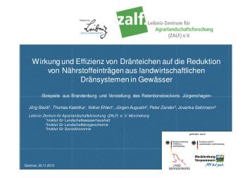 Steidl_Güstrow 3 - Landesamt für Umwelt, Naturschutz und ...