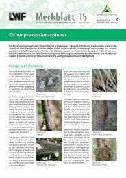 Eichenprozessionsspinner - Bayerische Landesanstalt für Wald und ...