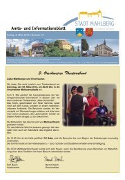 Amts- und Informationsblatt 3. Orschweirer ... - Stadt Mahlberg