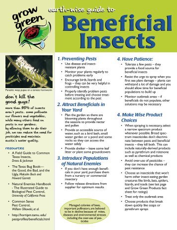 Earth-wise Guide to Beneficial Insects - Maine.gov