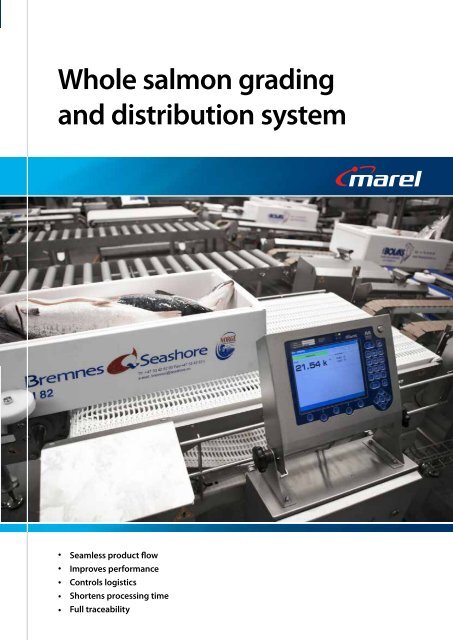 Whole salmon grading and distribution system - Marel