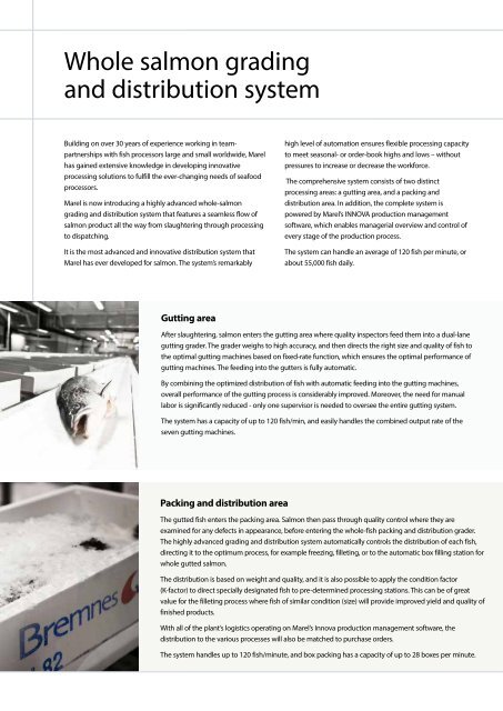 Whole salmon grading and distribution system - Marel