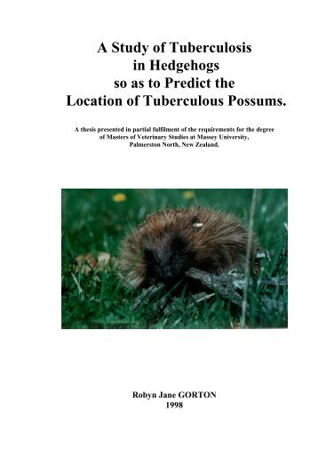 Tuberculosis in New Zealand hedgehogs - Massey University