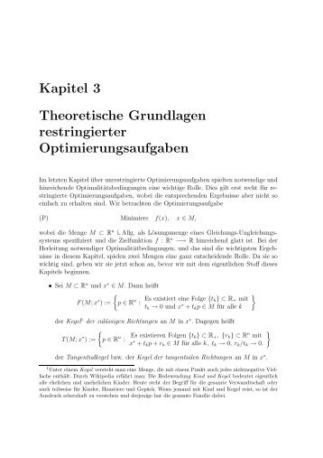 Theoretische Grundlagen restringierter Optimierungsaufgaben