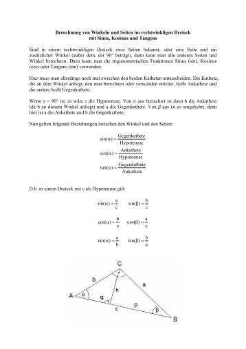 Berechnung von Winkeln und Seiten im rechtwinkligen Dreieck mit ...