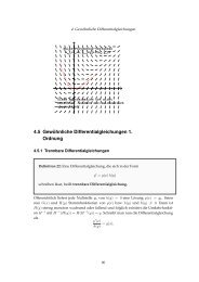 4.5 Gew¨ohnliche Differentialgleichungen 1. Ordnung