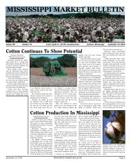 mississippi market bulletin - Mississippi Department of Agriculture ...