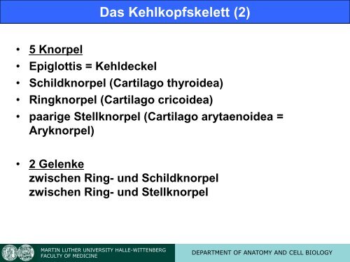 Vorlesung "Atmung" (Professor Claassen) - Universität Halle - Martin ...