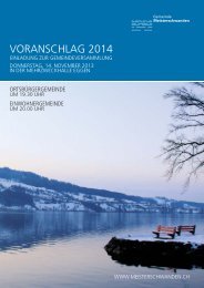 VORANSCHLAG 2014 - Meisterschwanden