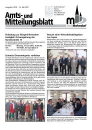 Amts - Stadt Merkendorf