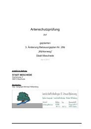 Artenschutzrechtliche Prüfung zum B-Plan Nr. 29b.3 - Meschede