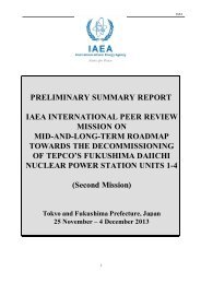 IAEA Review Mission Summary Report (PDF:232KB)