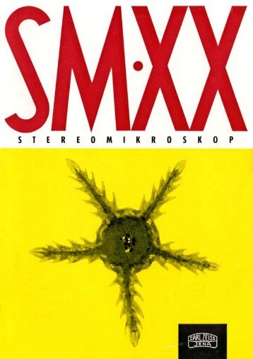 Stereomikroskop "SM 20" - Optik-Online