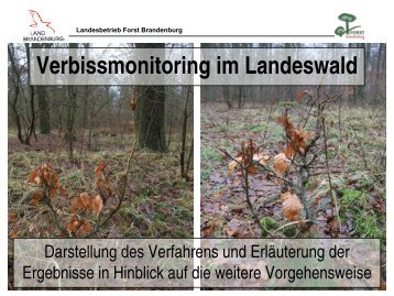 Verbissmonitoring im Landeswald 2013_komp.pdf
