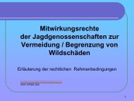 4_Mitwirkungsrechte der Jagdgenossenschaften ... - Brandenburg.de