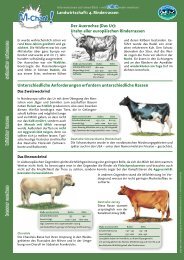 Landwirtschaft / Milcherzeugung - Nr. 4 Rinderrassen