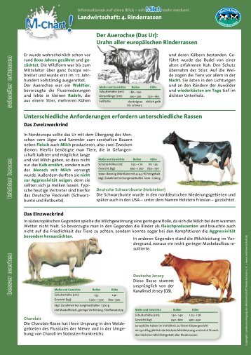 Landwirtschaft / Milcherzeugung - Nr. 4 Rinderrassen