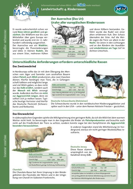 Landwirtschaft / Milcherzeugung - Nr. 4 Rinderrassen