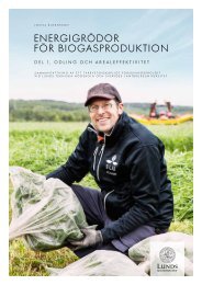 Energigrödor för biogasproduktion. Del 1, odling och arealeffektivitet