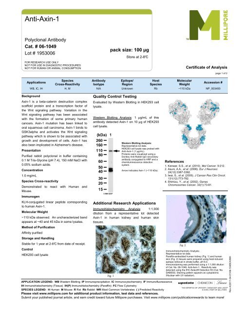 Anti-Axin-1 - Millipore