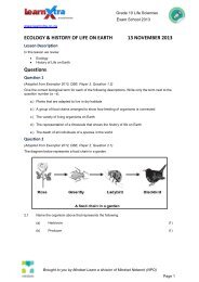 Notes - Mindset Network