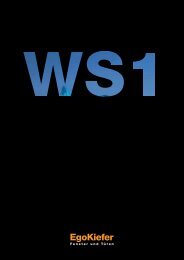 WoodStar WS1 - Minergie