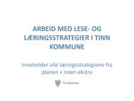 Lese- og læringsstrategier i Tinn Kommune - Minskole.no