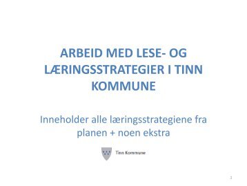 Lese- og læringsstrategier i Tinn Kommune - Minskole.no
