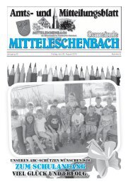 Amtsblatt Nr. 8 / Ausgabe 30.08.2013 - Mitteleschenbach