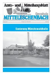 Amtsblatt Nr. 5 / Ausgabe 31.05.2013 - Mitteleschenbach