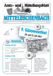 Amtsblatt Nr. 6 / Ausgabe 28.06.2013 - Mitteleschenbach