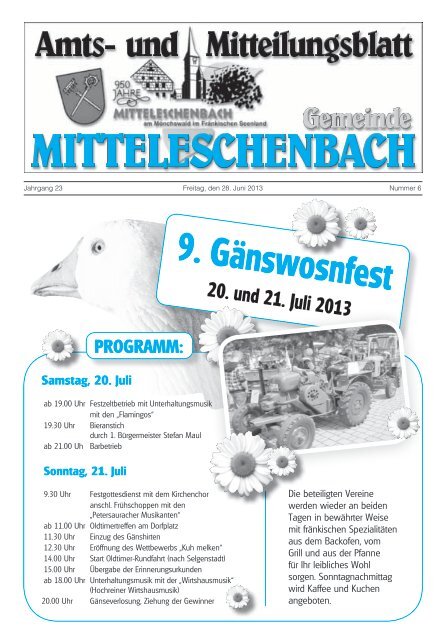 Amtsblatt Nr. 6 / Ausgabe 28.06.2013 - Mitteleschenbach