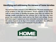 Identifying and addressing the menace of home termites