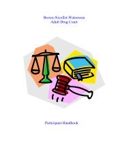 Brown-Nicollet-Watonwan Adult Drug Court Participant Handbook