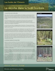 La récolte dans la forêt boréale (PDF, 366KO) - Ontario.ca