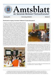 Breitbandversorgung Gemeinde Mohlsdorf-Teichwolframsdorf