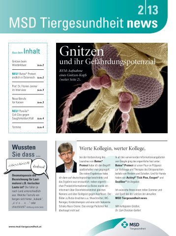 Gnitzen - MSD Tiergesundheit