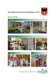 Haushaltssatzung und Haushaltsplan 2013 (*.pdf ... - Mühlhausen