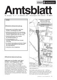 Amtsblatt Nr. 17 vom 6. September 2013 - Stadt Münster