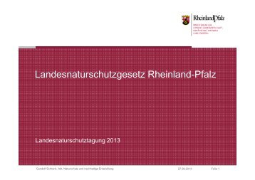 Landesnaturschutzgesetz Rheinland-Pfalz