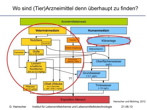 Prof. Dr. Gerd Hamscher