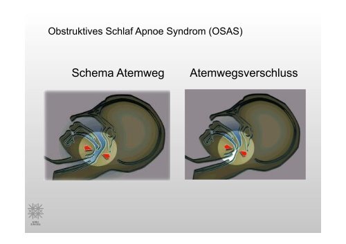 Präsentation Prof. Dr. Calabrese (pdf)