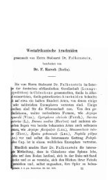 Karsch (1879) West-afrikanische Arachniden,Dr ... - Museu Nacional