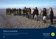 Where to watch birds - Nationalpark Wattenmeer