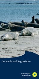 Broschüre Robben.indd - Nationalpark Wattenmeer
