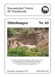 Mitteilungen 65 - Nassauischer Verein für Naturkunde