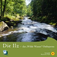Die Ilz – das „Wilde Wasser“ Ostbayerns - Naturpark Bayerischer Wald
