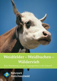 als PDF - Naturpark Südschwarzwald