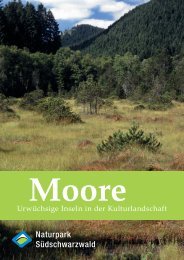 PDF -Download - Naturpark Südschwarzwald