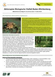 Massnahmenvorschlaege Haselmaus [PDF, 206.15 KB] - Naturschutz